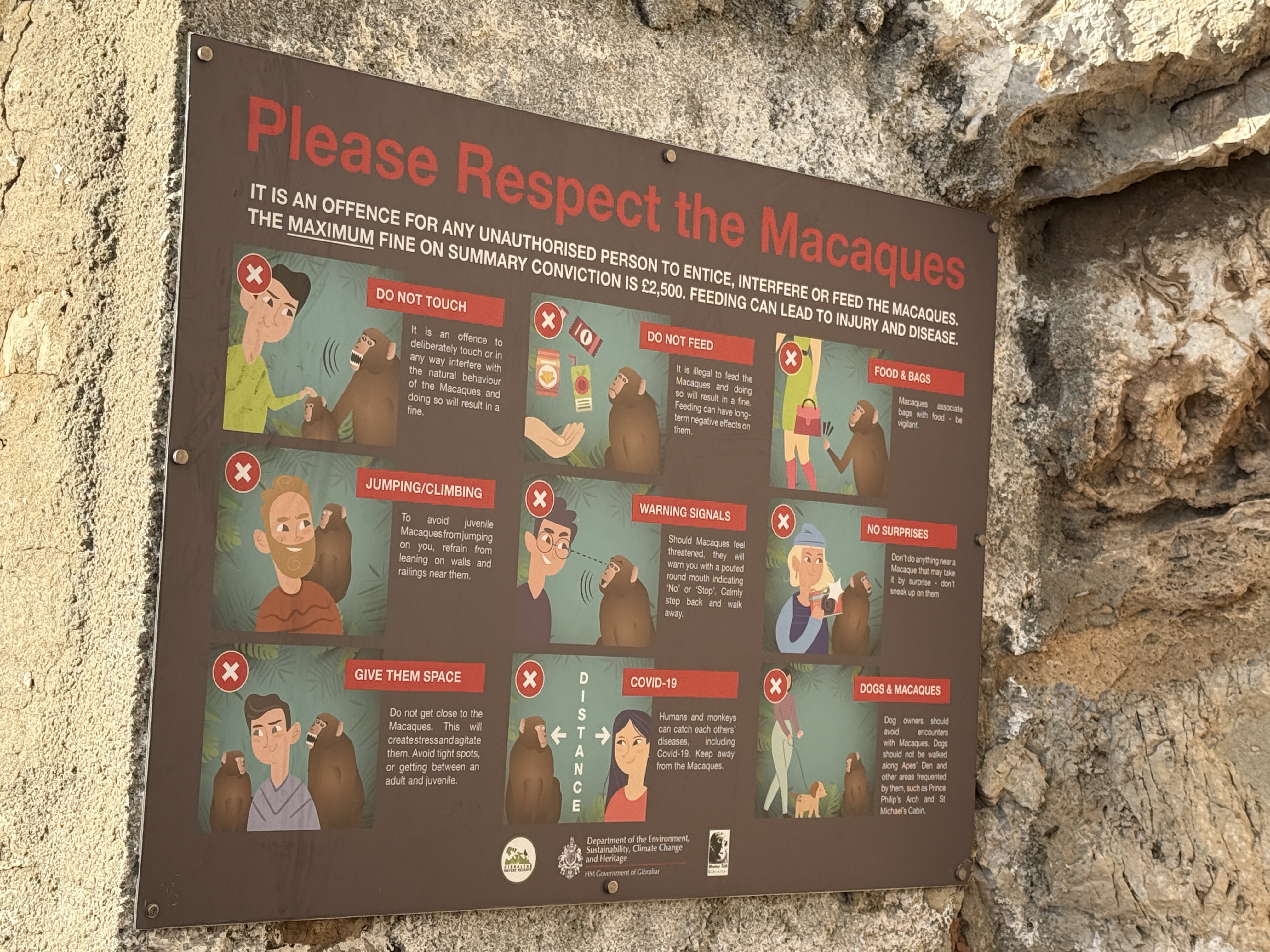 Barbary Macaques Dos & Don'ts