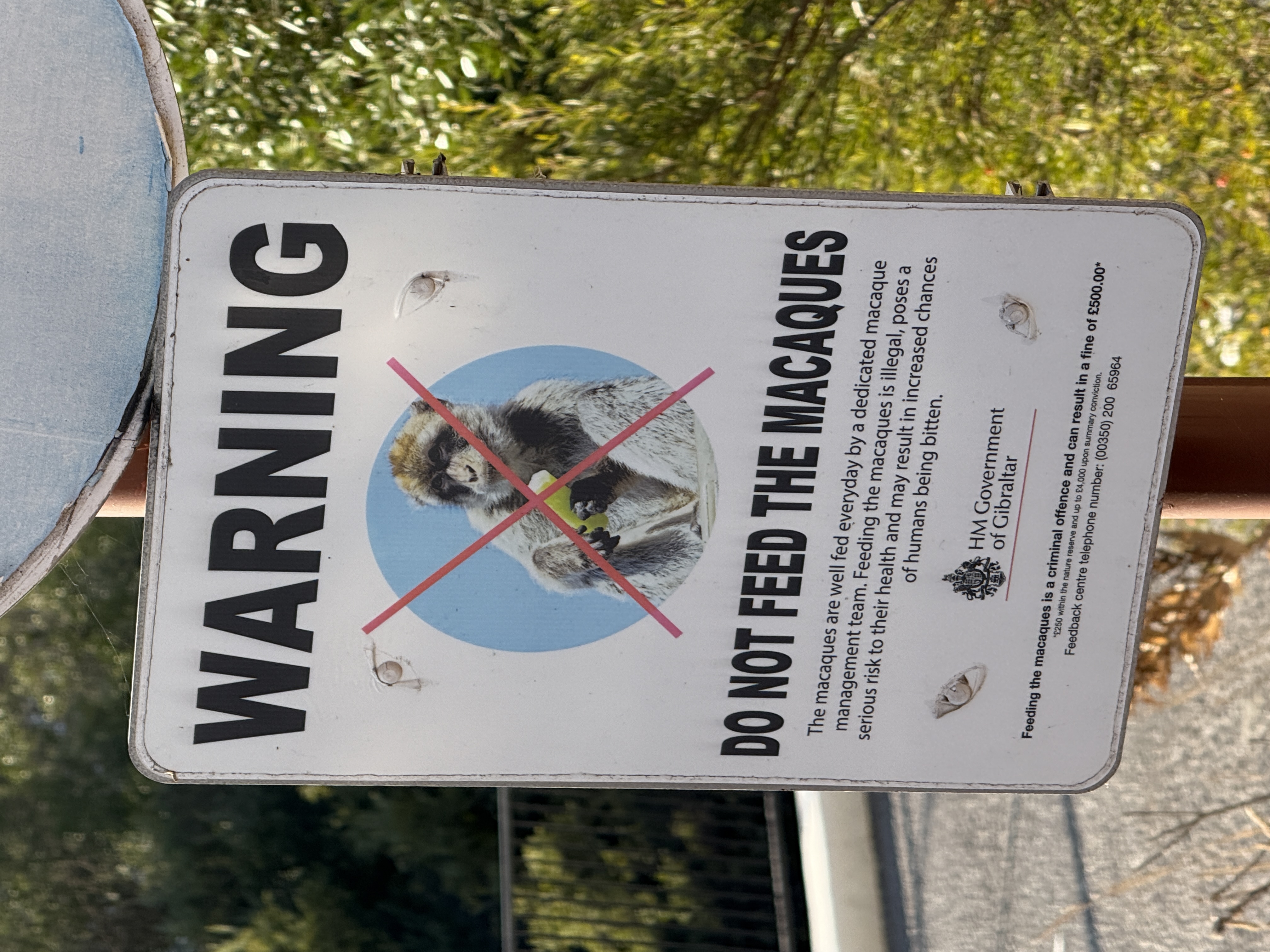 Do not feed the macaques!