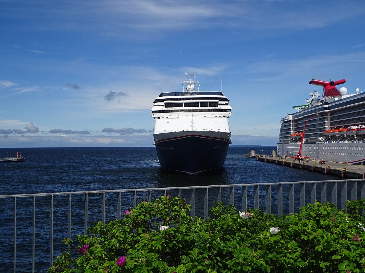The cruise ship Borealis